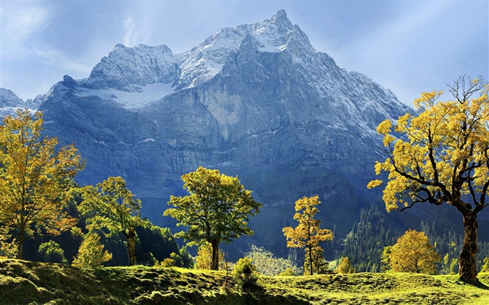 windows 10 mountain wallpaper,mountainous landforms,natural landscape,mountain,nature,larix lyalliisubalpine larch