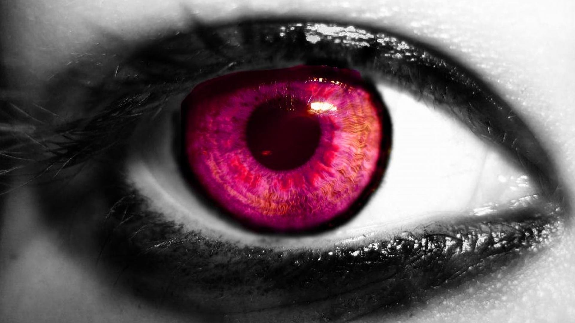fondo de pantalla de contactos,iris,ojo,de cerca,ceja,colorido