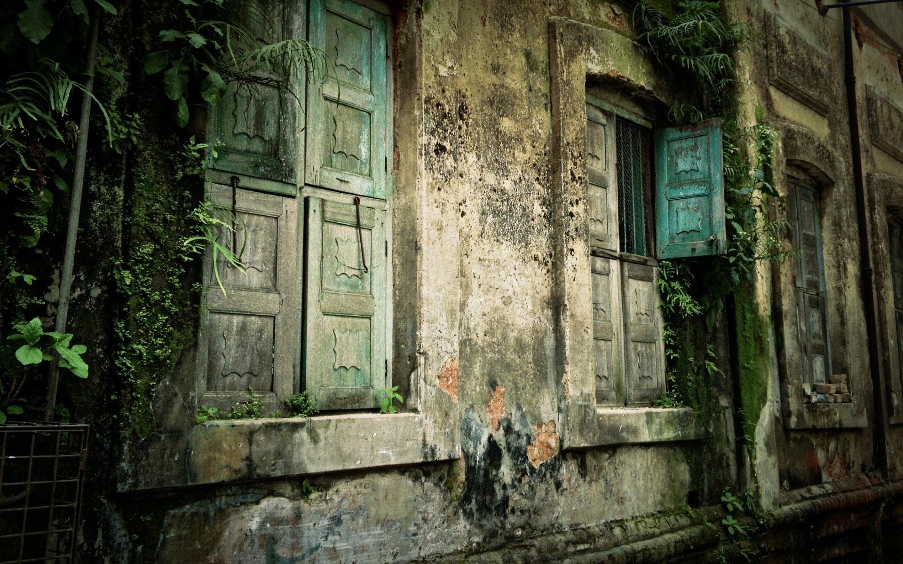 古い家の壁紙,緑,壁,建物,木,廃墟