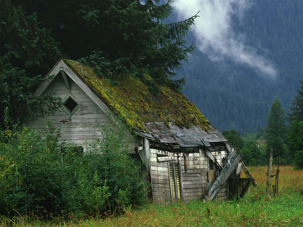 old house wallpaper,nature,shack,house,hut,rural area