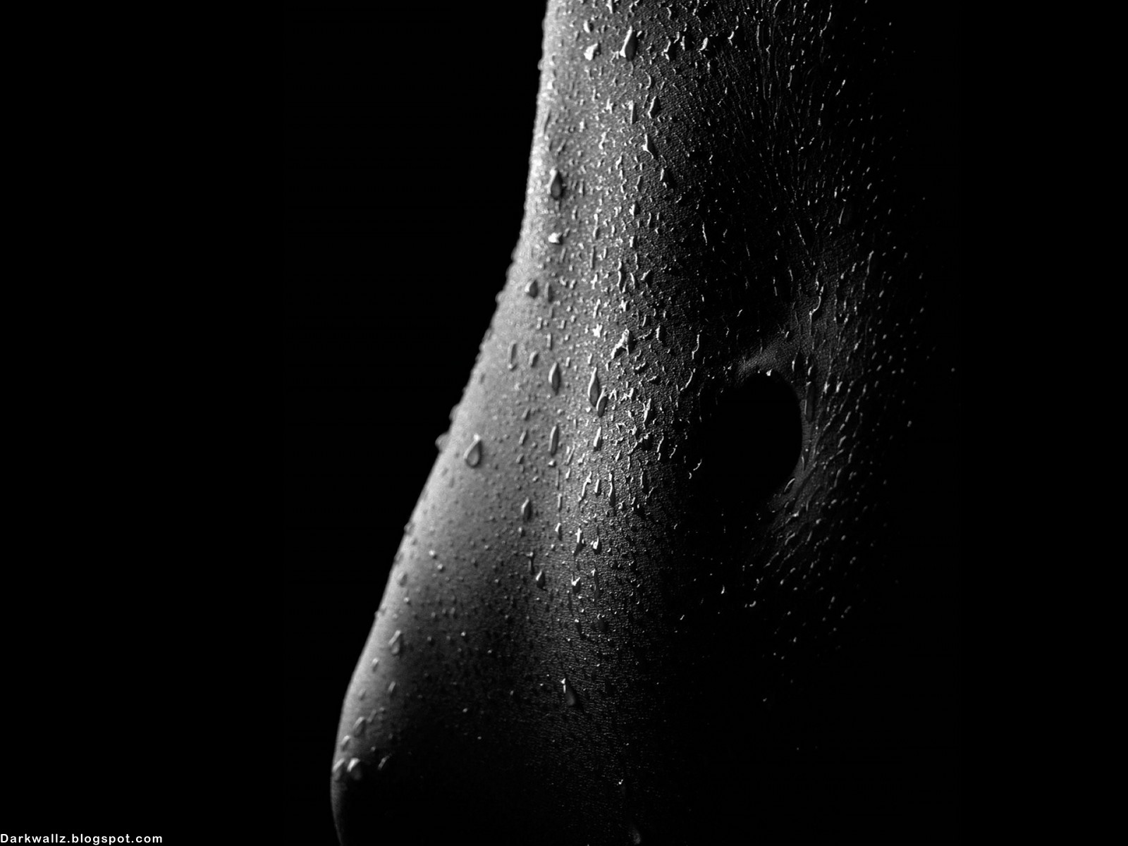 Black And White- WallpaperUse
