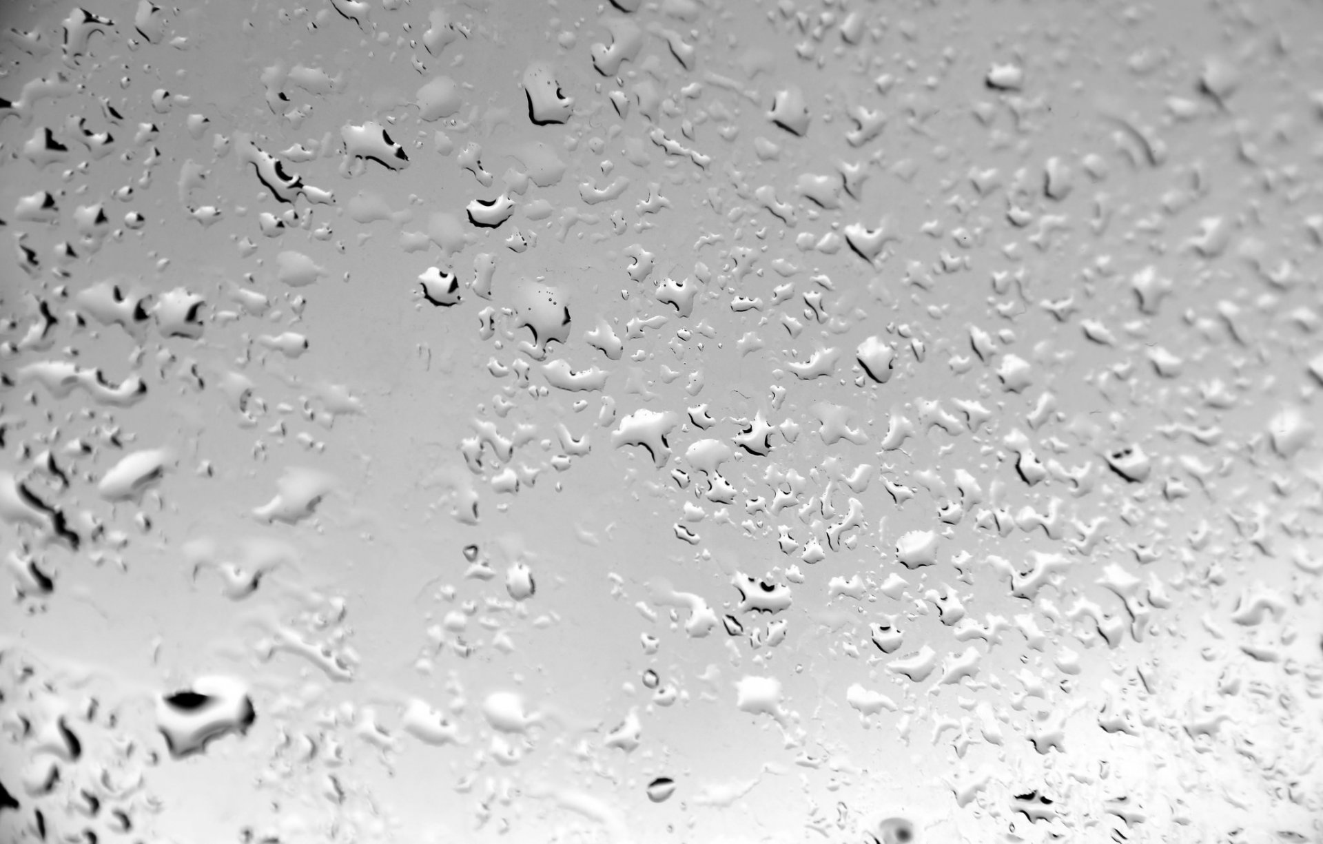 wet wallpaper,water,drop,moisture,liquid bubble,rain