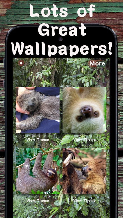 sloth iphone wallpaper,wildlife,canidae,dog,carnivore,chow chow