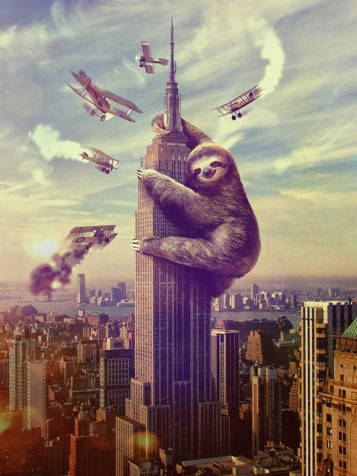 sloth iphone wallpaper,skyscraper,human settlement,city,skyline,metropolis