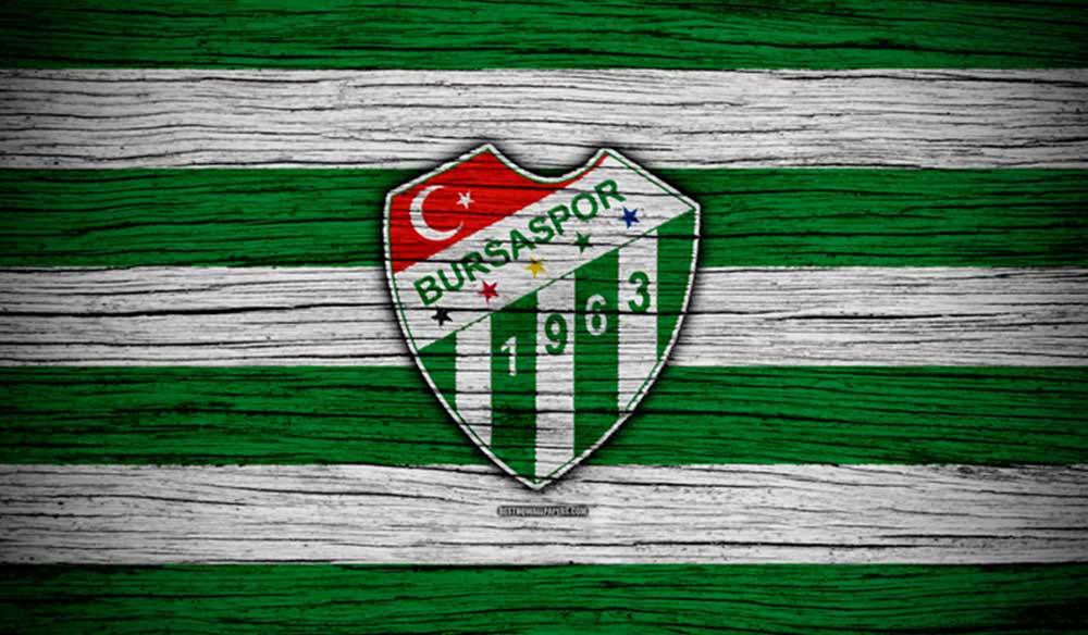 fondo de pantalla de bursaspor,verde,emblema,de cerca,bandera,símbolo