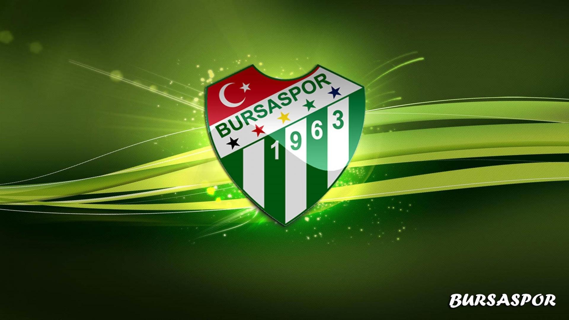 fondo de pantalla de bursaspor,verde,fuente,césped,emblema,ilustración