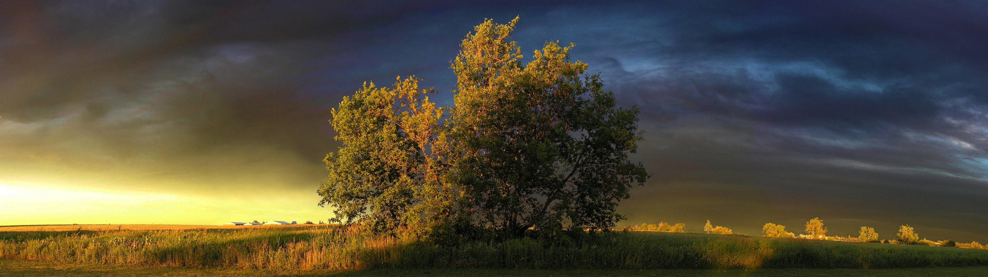 desktop wallpaper dual monitor,tree,natural landscape,nature,sky,woody plant