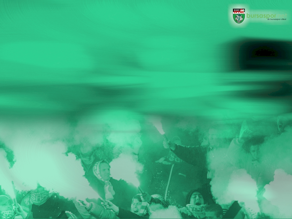 bursaspor wallpaper,green,water,sky,screenshot