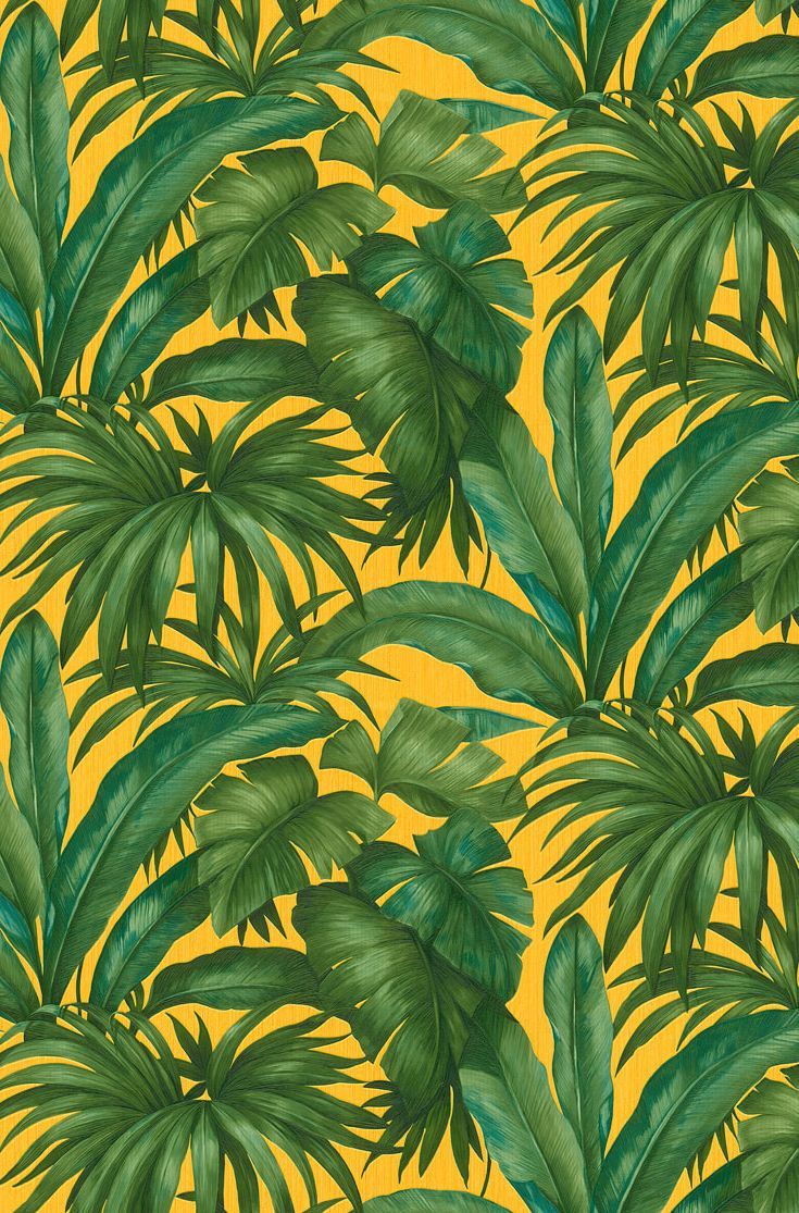 Palm Tree Wallpaper Yellow WallpaperUse