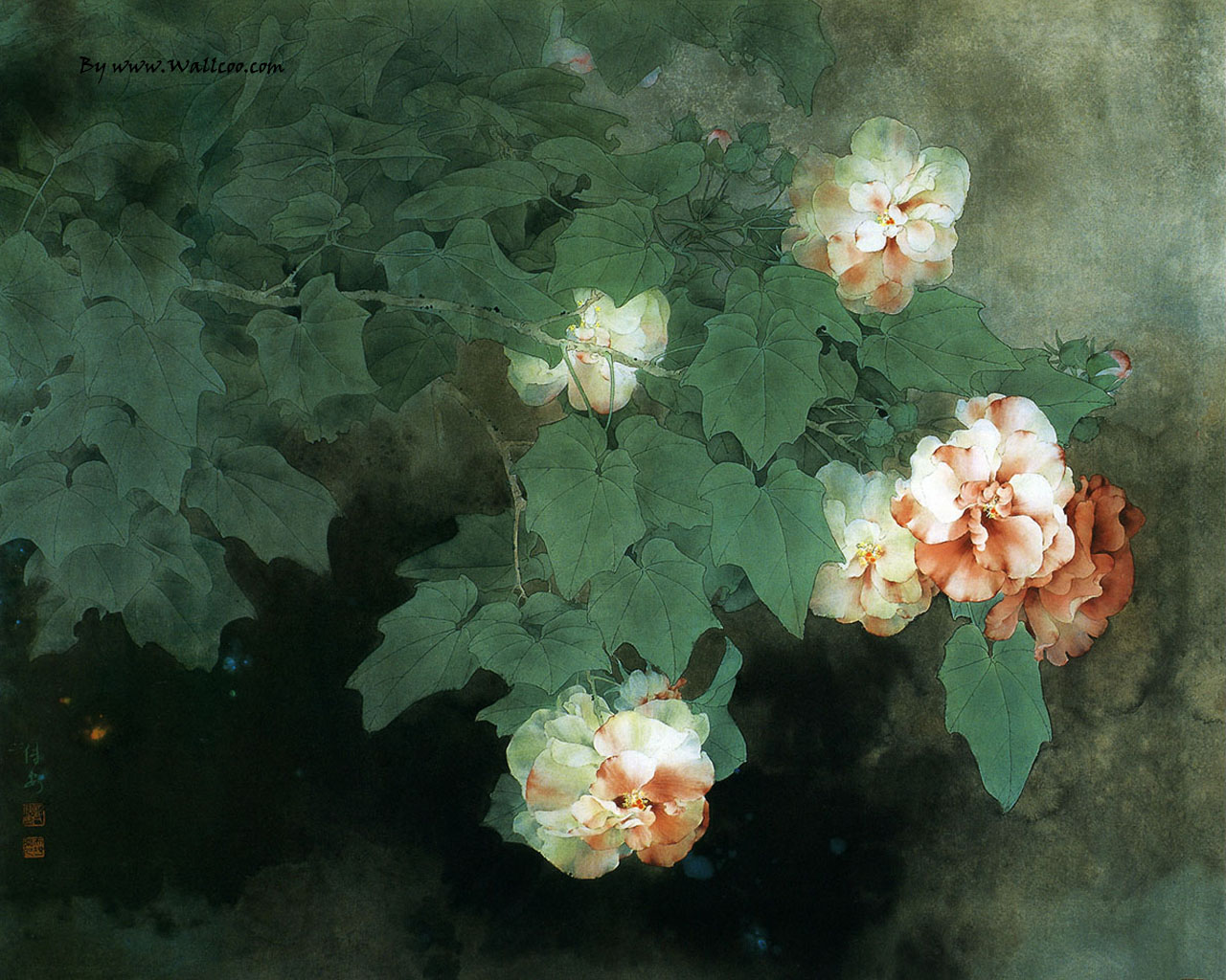 fondo de pantalla en,flor,planta,naturaleza muerta,pétalo,familia rosa