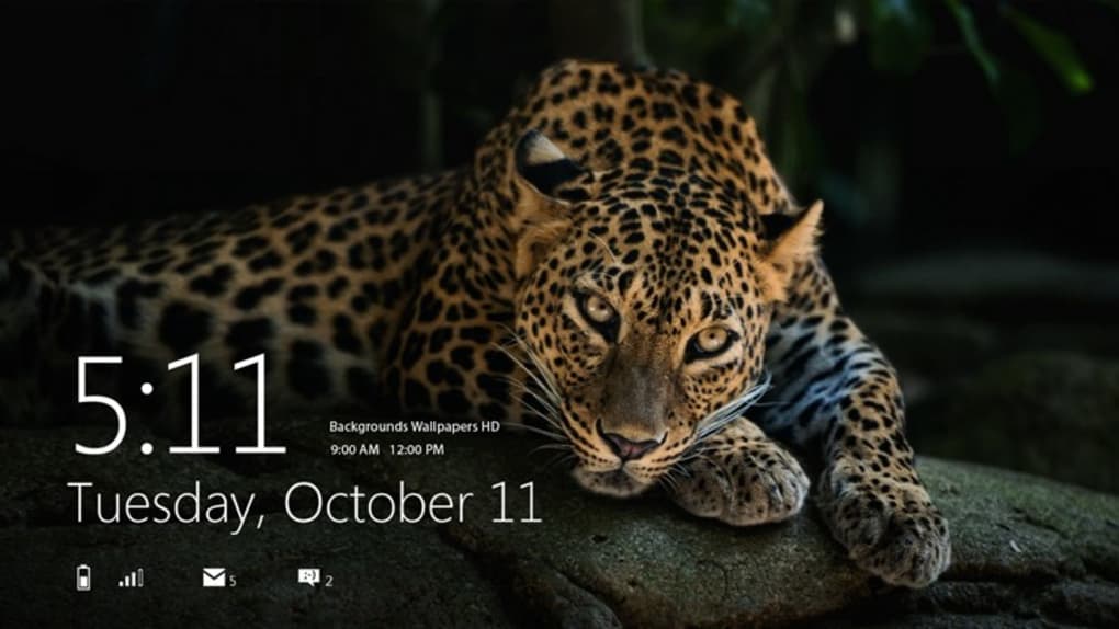 tapeten de windows 10,landtier,tierwelt,jaguar,leopard,felidae