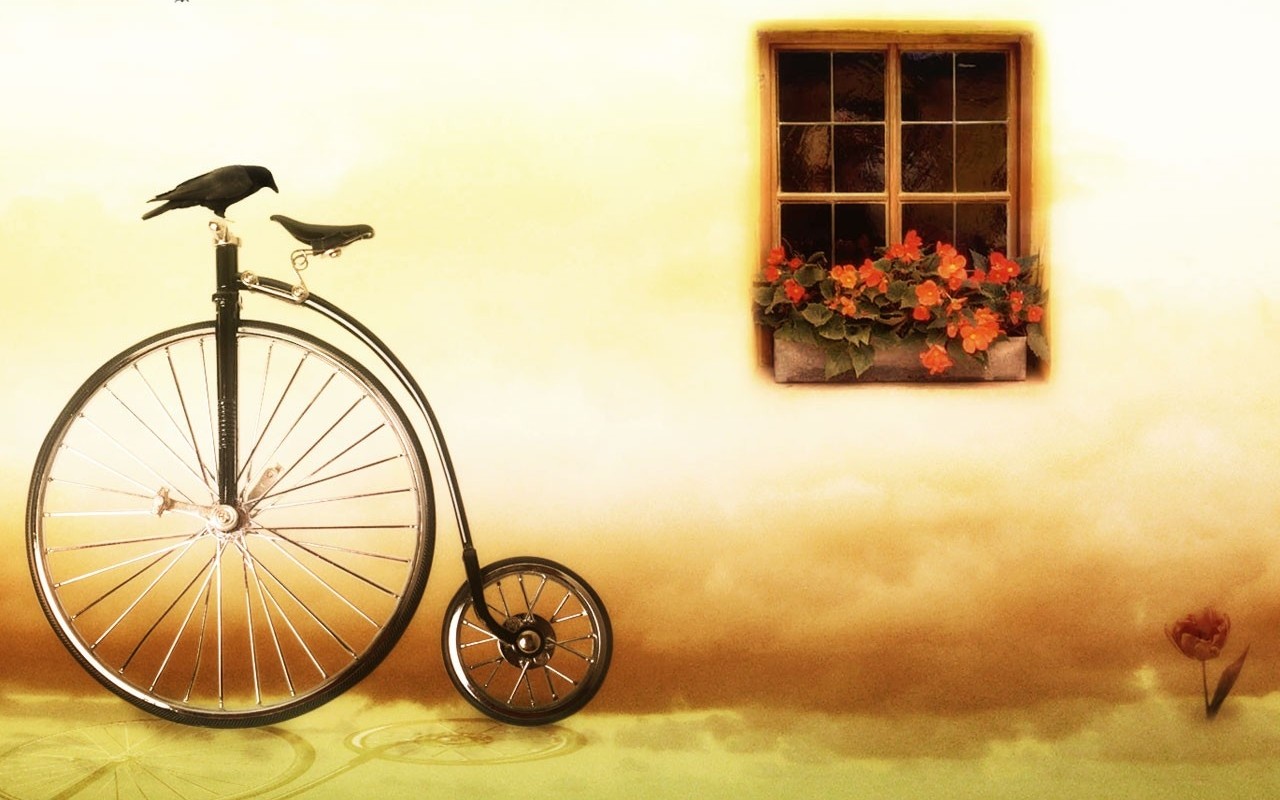 sfondo del desktop unico,ruota di bicicletta,bicicletta,veicolo,pneumatico per bicicletta,accessorio per bicicletta