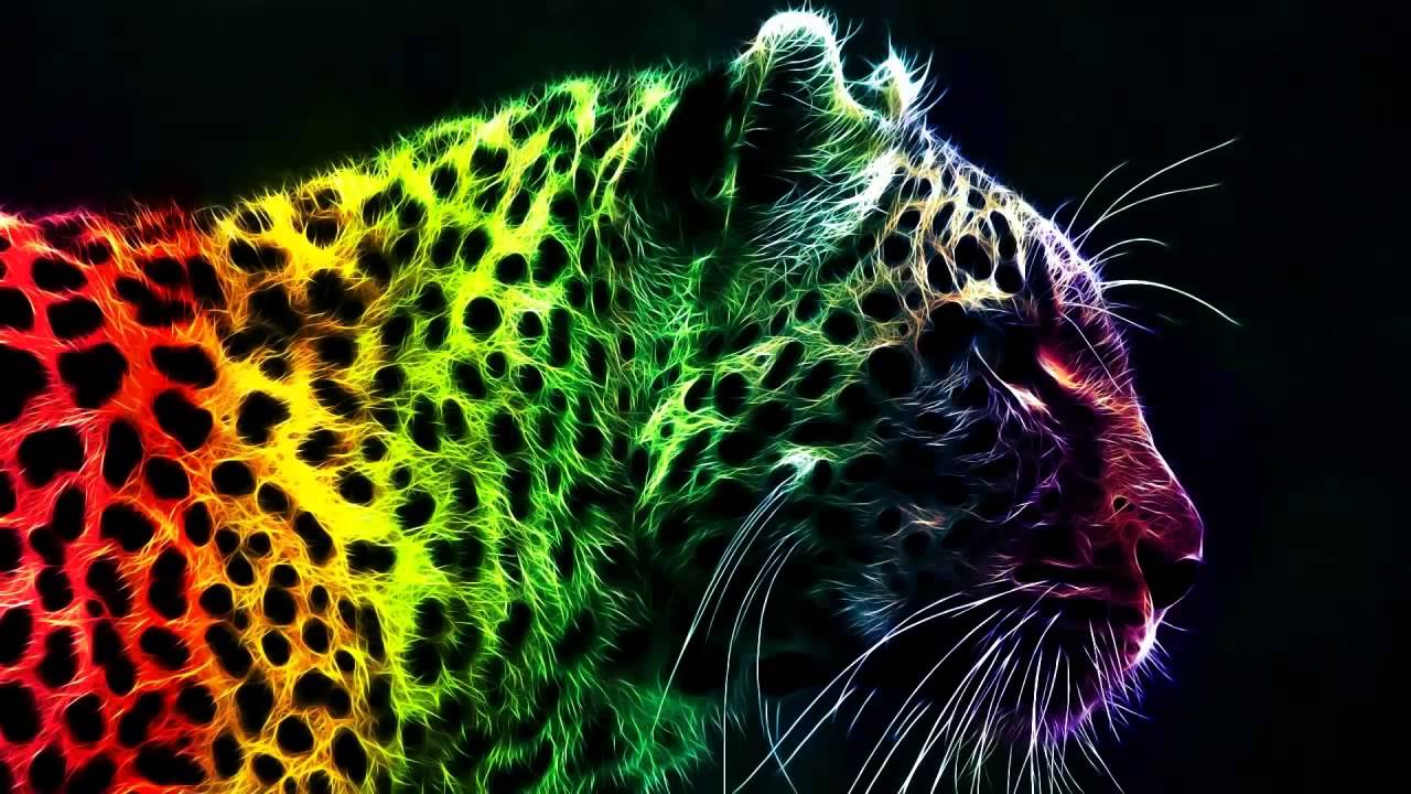 cool fondos de pantalla animales,jaguar,felidae,fauna silvestre,leopardo,animal terrestre