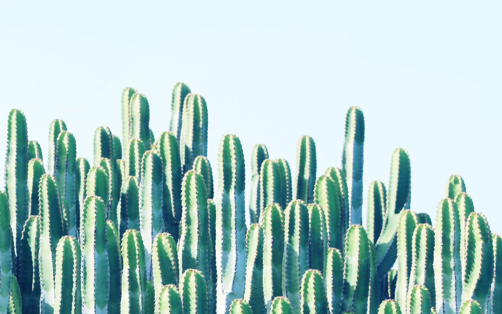 cactus desktop wallpaper,cactus,green,saguaro,vegetation,plant