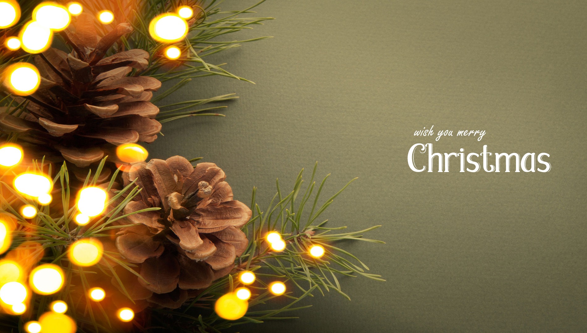 fondo de pantalla de fiesta de navidad,árbol,nochebuena,navidad,ramita,planta