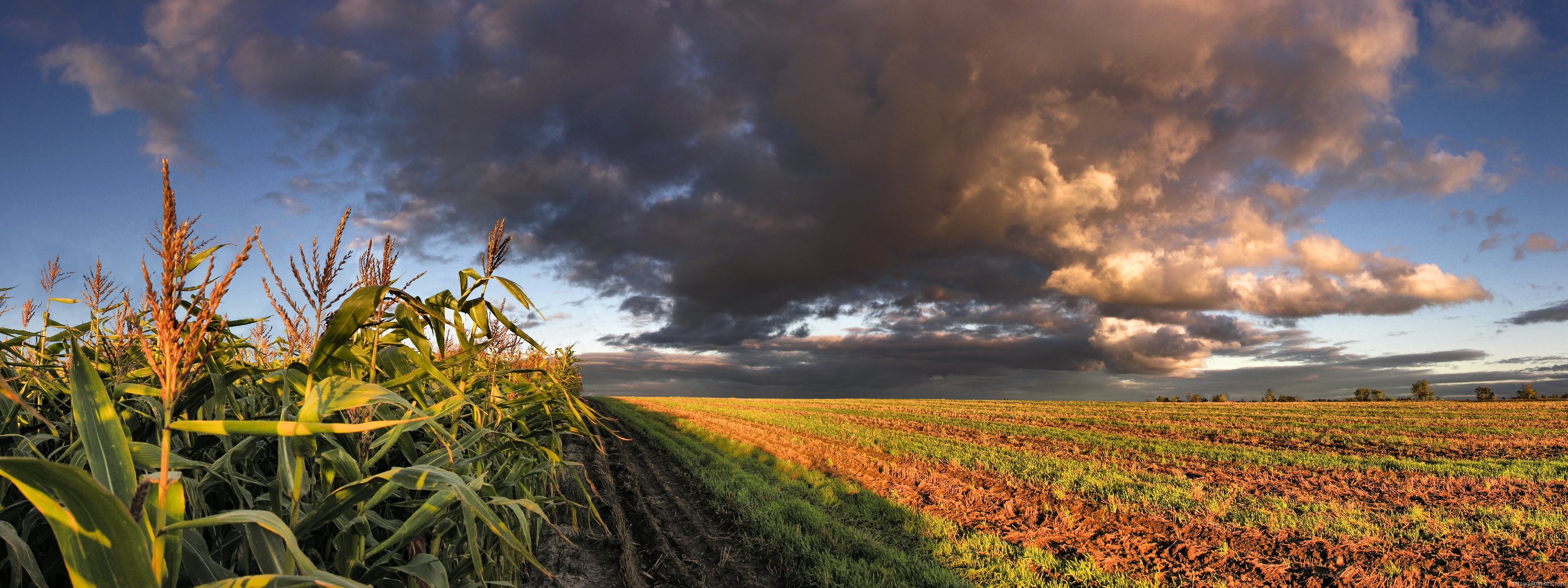 dual hd wallpaper,sky,natural landscape,nature,field,cloud