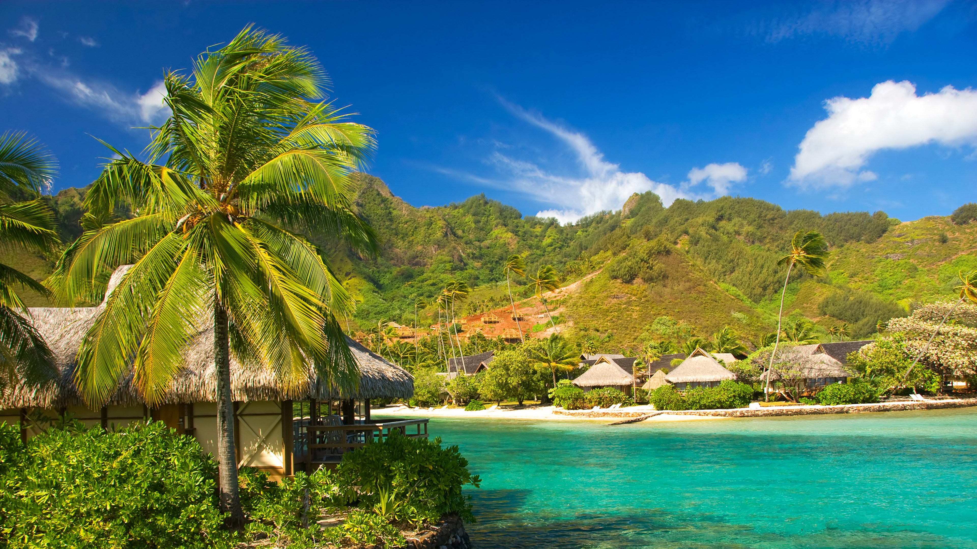 fondo de escritorio de doble pantalla,paisaje natural,cuerpo de agua,naturaleza,caribe,árbol