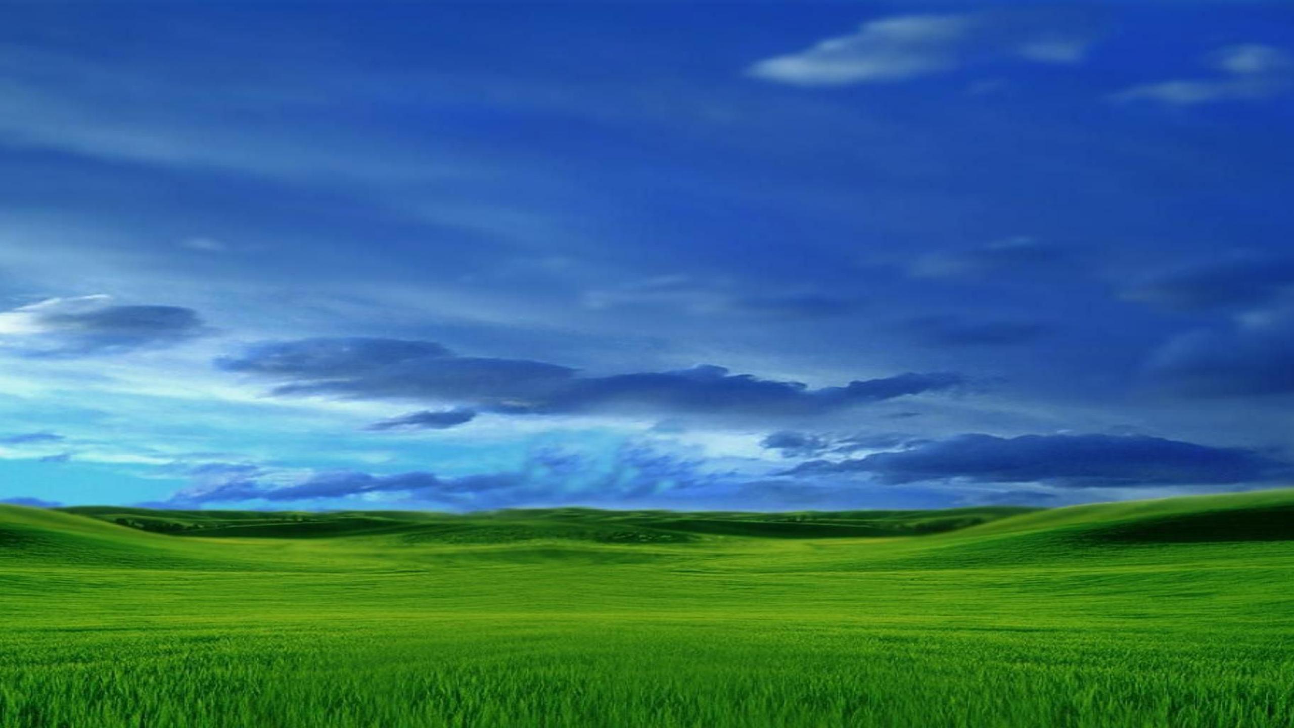 画面壁紙イメージ,空,草原,自然の風景,緑,自然