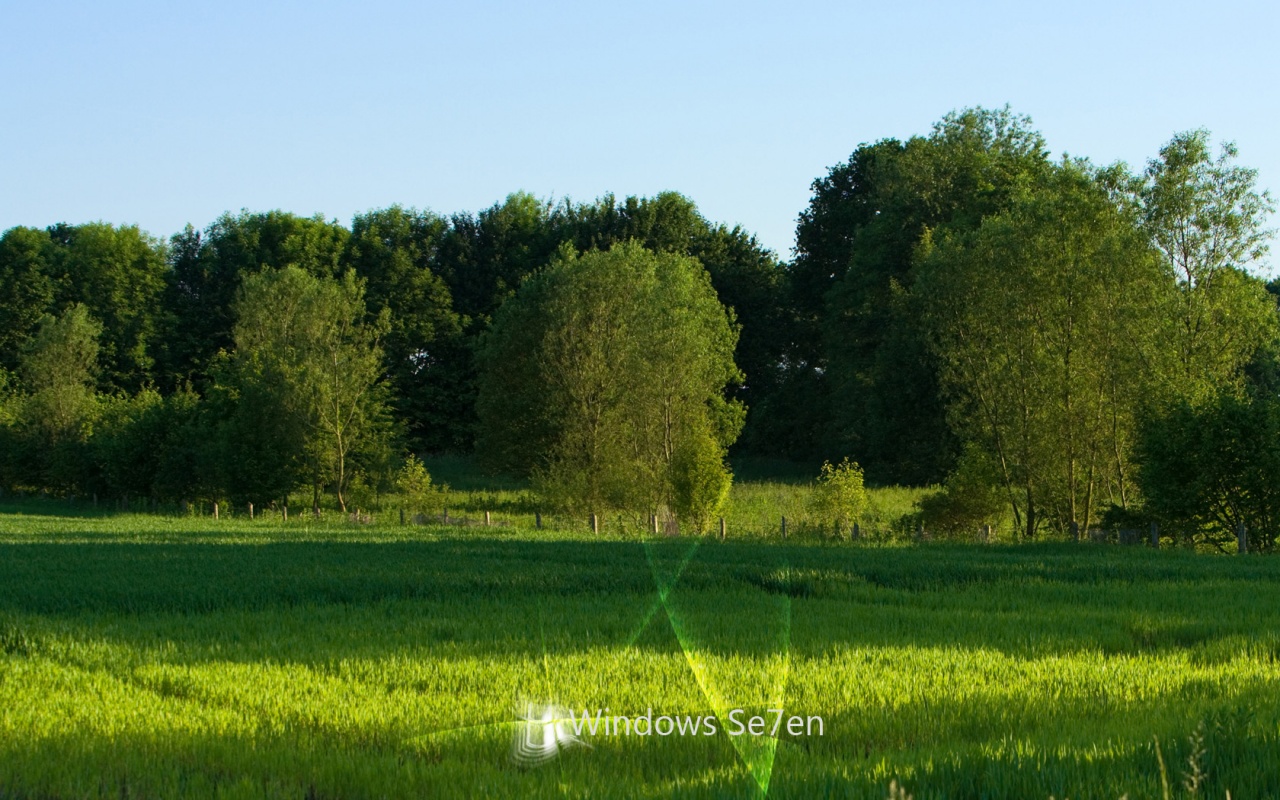 パノラマ壁紙窓7,自然の風景,草原,フィールド,自然,牧草地