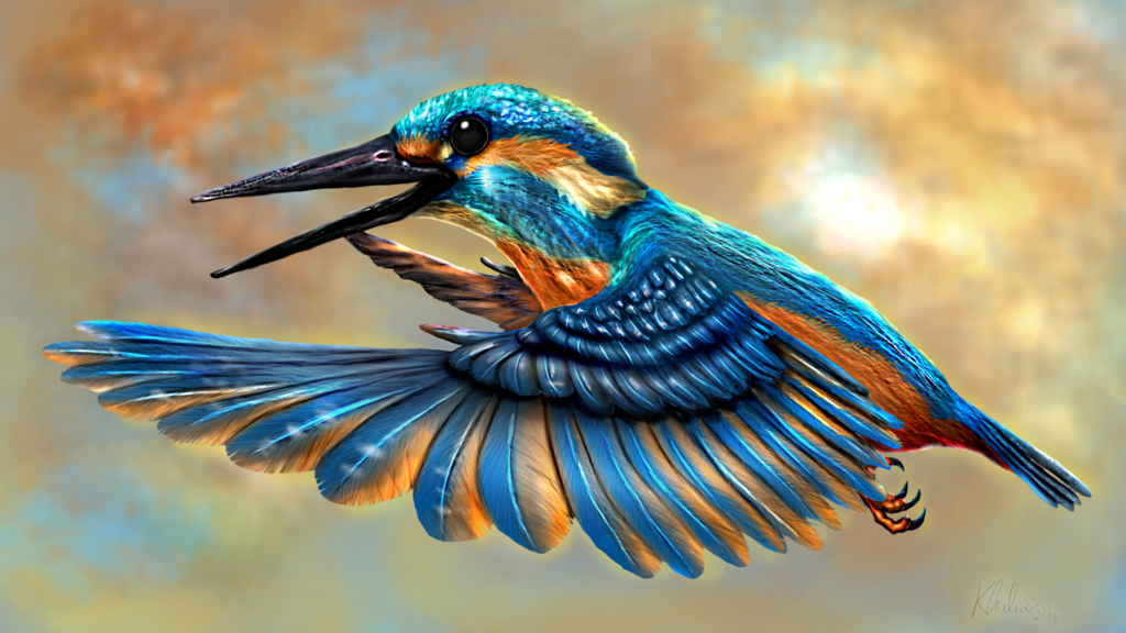 amo dipingere wallpaper hd,uccello,colibrì,coraciiformes,natura,rufous colibrì