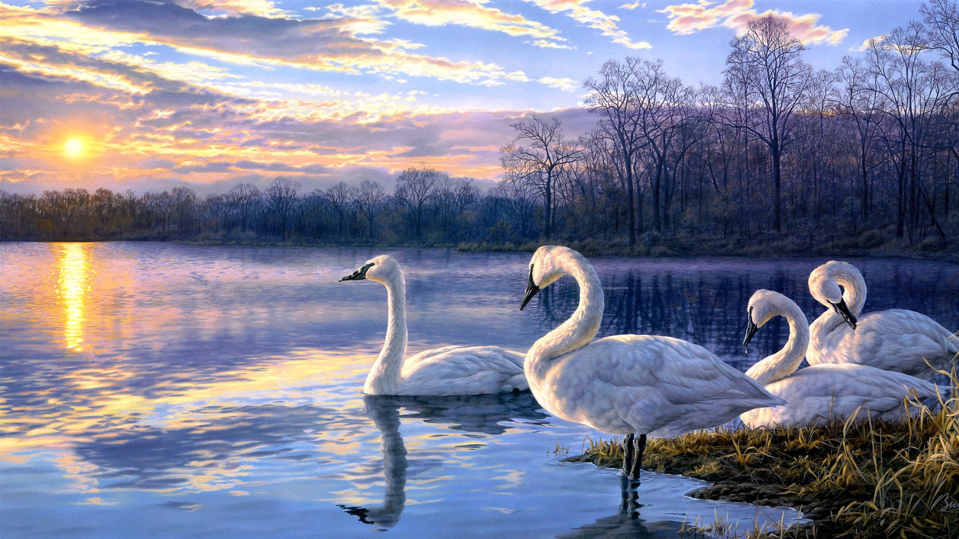 art wallpapers hd free download,swan,bird,natural landscape,water bird,nature