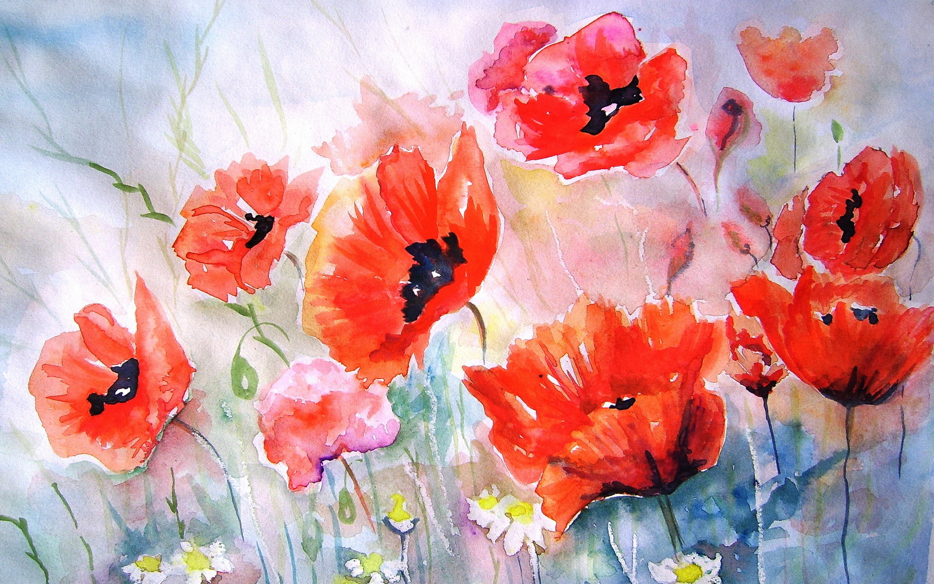 flower painting wallpaper,watercolor paint,oriental poppy,flower,red,coquelicot