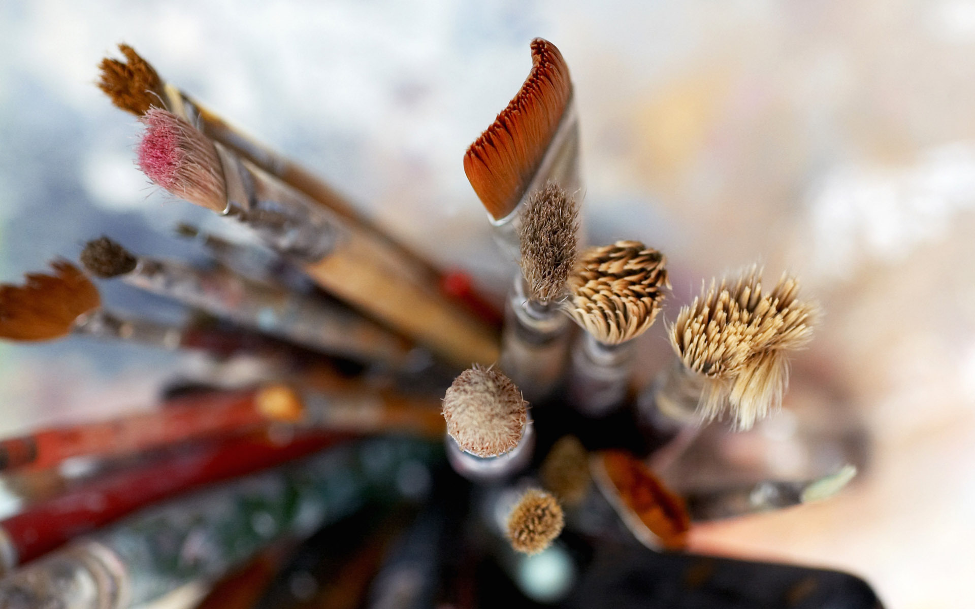 paint brush wallpaper,close up,flower,twig,branch,plant