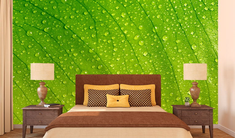 wallpaper and paint combination ideas,green,wall,wallpaper,room,bedroom