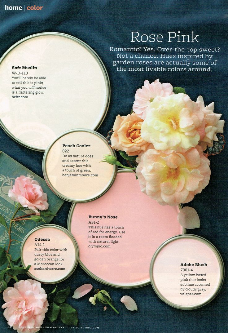 ideen für die kombination von tapeten und farben,rosenfamilie,blume,rose,blütenblatt,pflanze