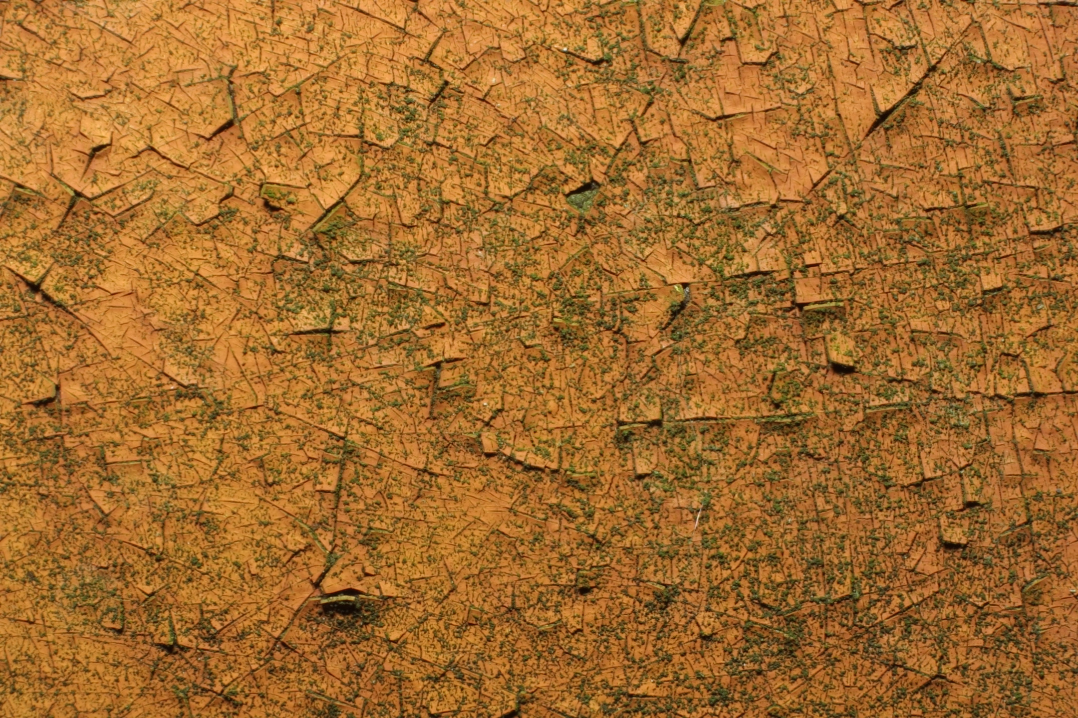 painting textured wallpaper,brown,yellow,soil,wall,rust