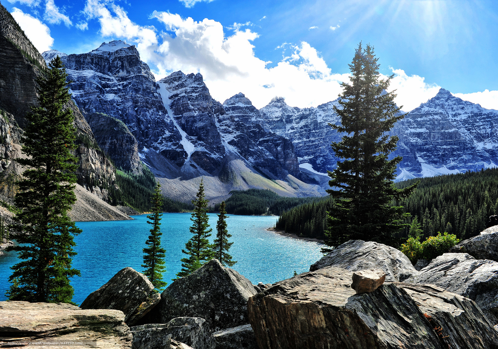 sfondo del desktop di montagna,montagna,paesaggio naturale,natura,larice larix lyalliisubalpine,lago glaciale