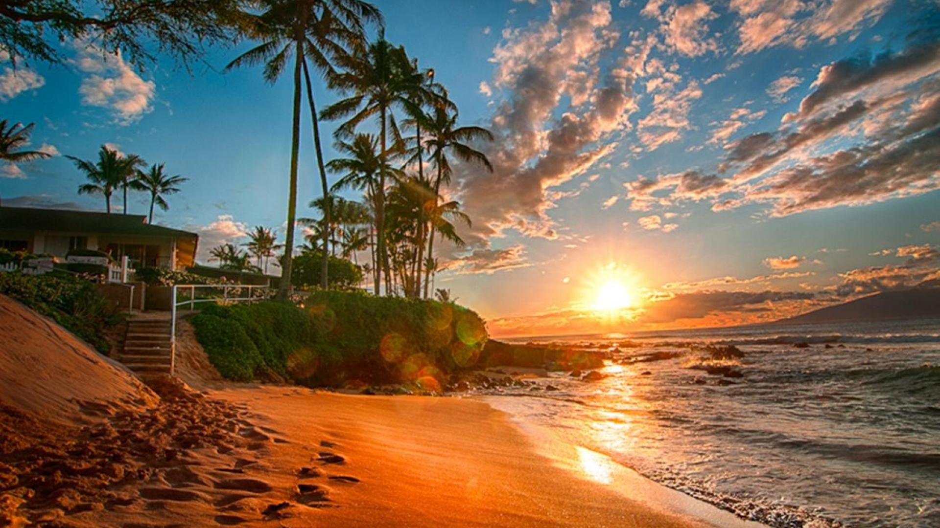 ハワイのデスクトップの壁紙,空,自然,岸,木,ヤシの木