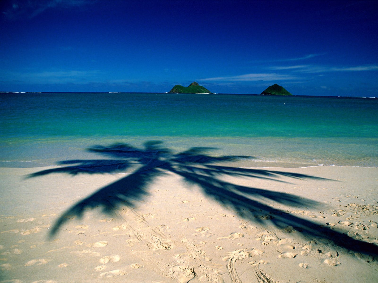 hawaii desktop wallpaper,sky,blue,nature,sea,beach