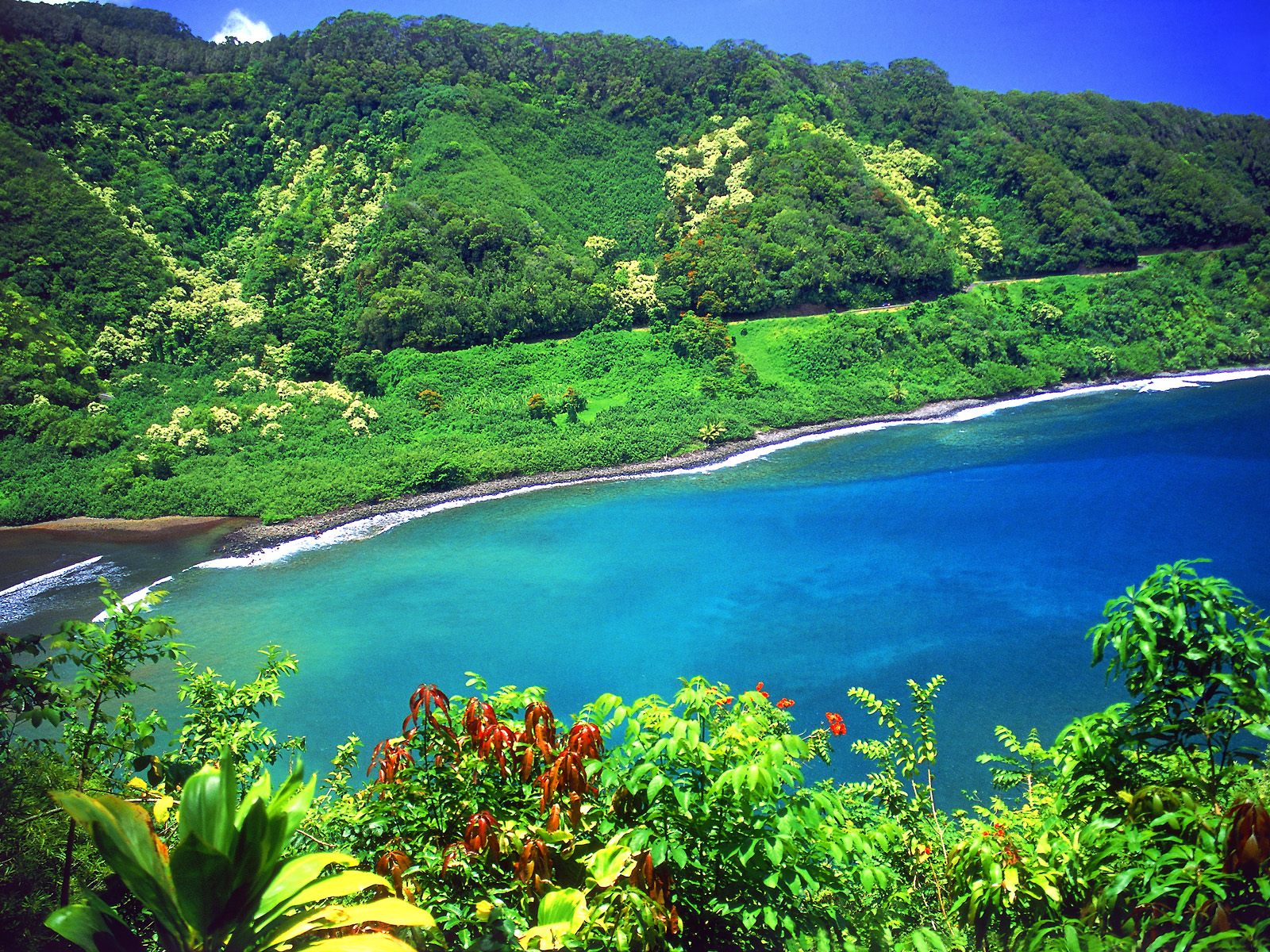 hawaii desktop wallpaper,natural landscape,body of water,nature,vegetation,water resources