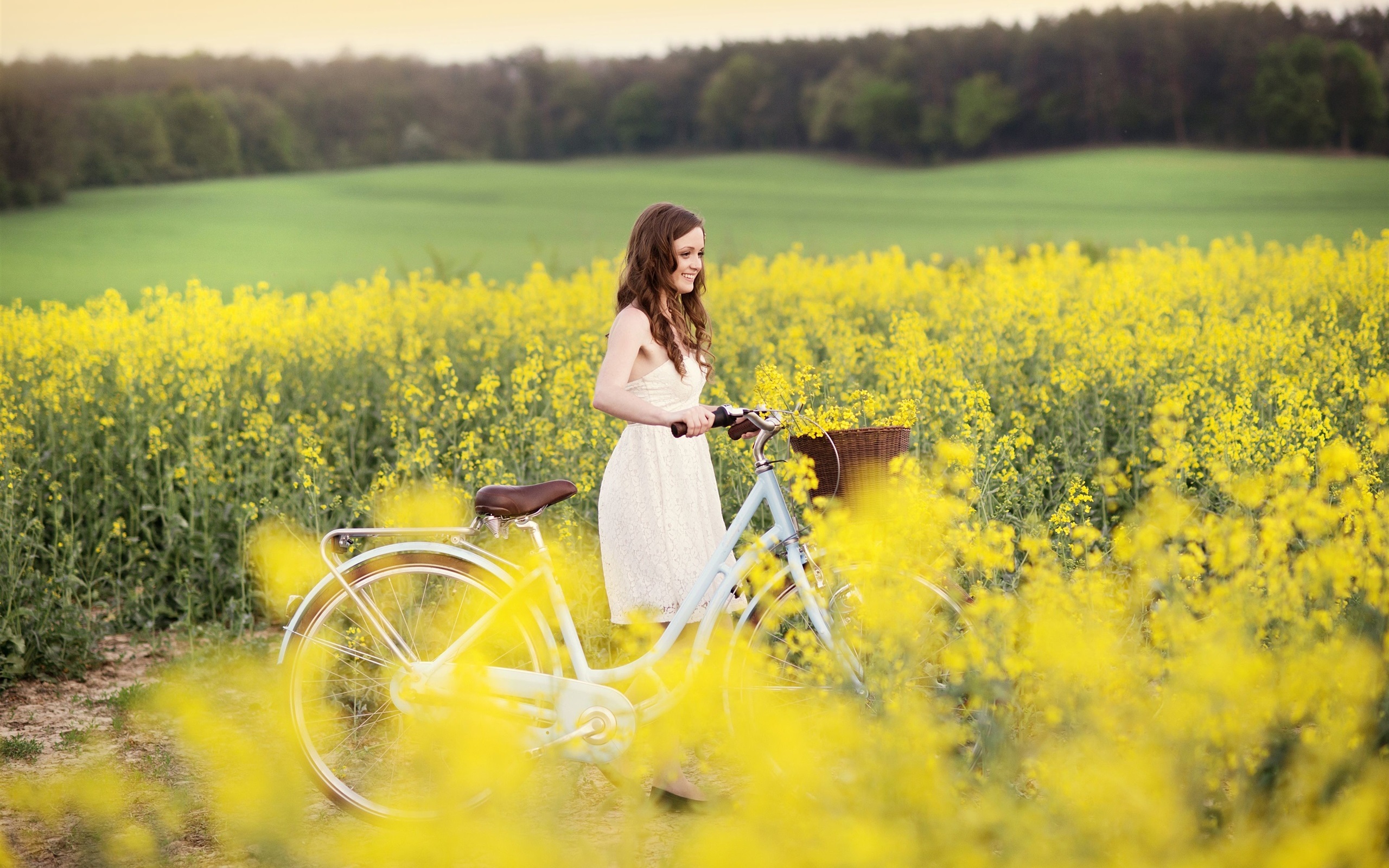 sourire fille fond d'écran,canola,jaune,prairie,champ,printemps