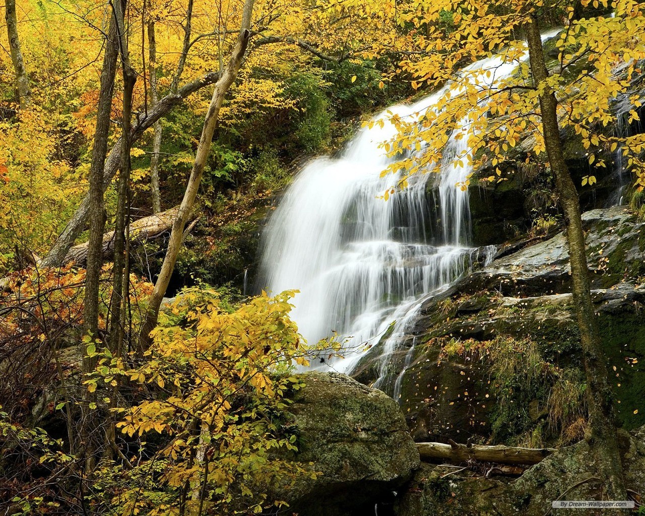 desktop hintergrund 1280x1024,wasserfall,gewässer,natürliche landschaft,natur,wasservorräte