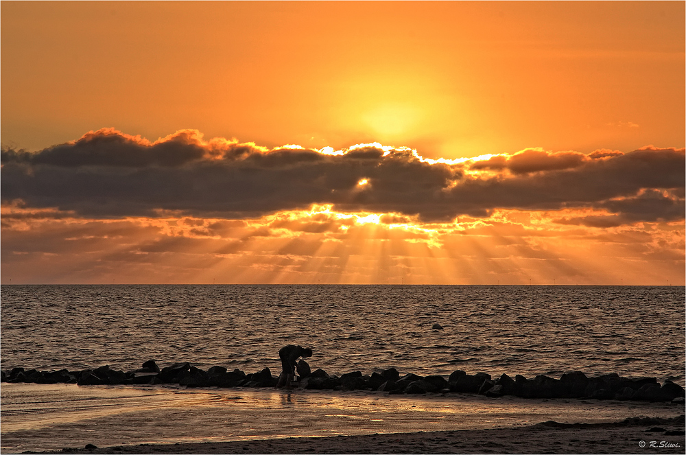 fondos de escritorio 1280x1024,cielo,horizonte,puesta de sol,mar,amanecer