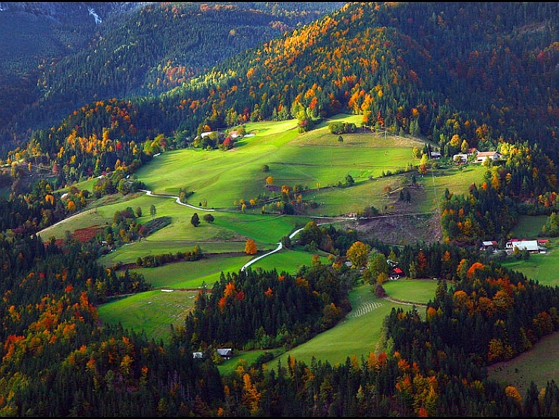 carta da parati 800x600,natura,paesaggio naturale,foglia,cielo,montagna