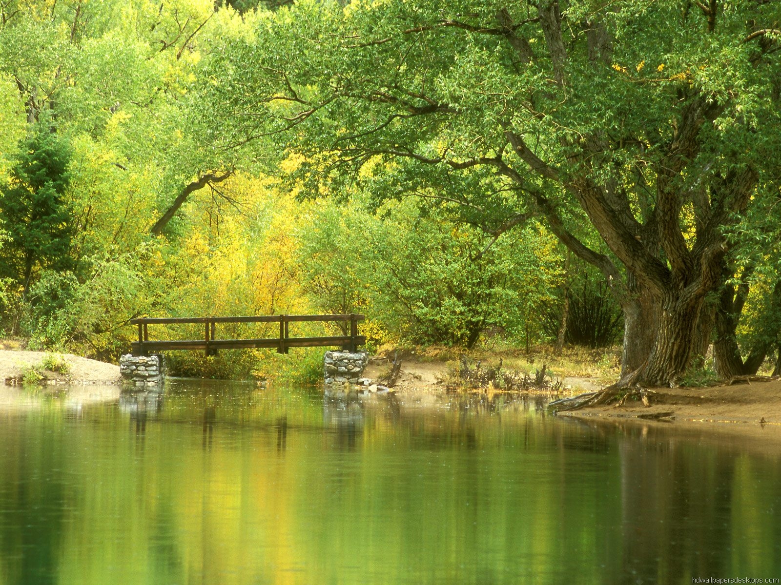 fondo de pantalla 1600x1200,paisaje natural,naturaleza,cuerpo de agua,reflexión,banco