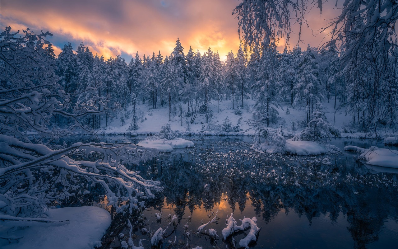 fonds d'écran forêt 1280x800,la nature,hiver,paysage naturel,ciel,gelé