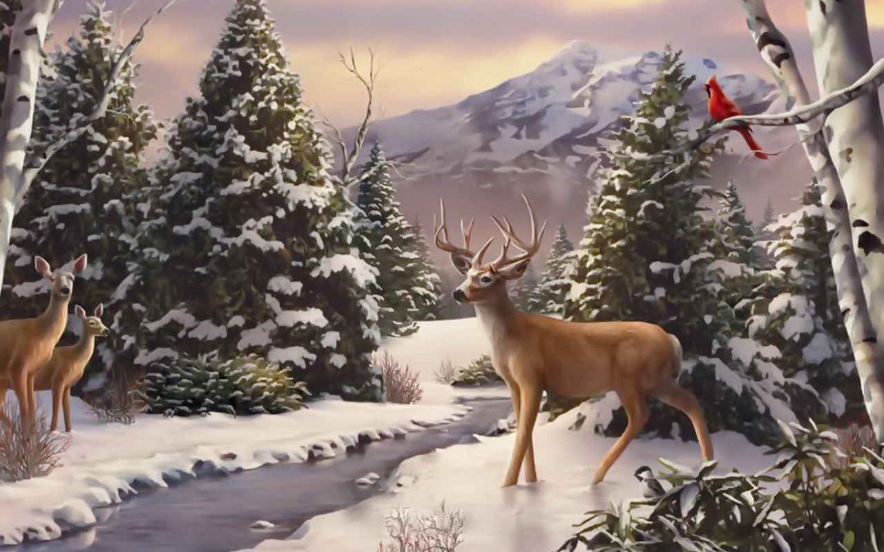 fonds d'écran forêt 1280x800,faune,cerf,la nature,renne,hiver