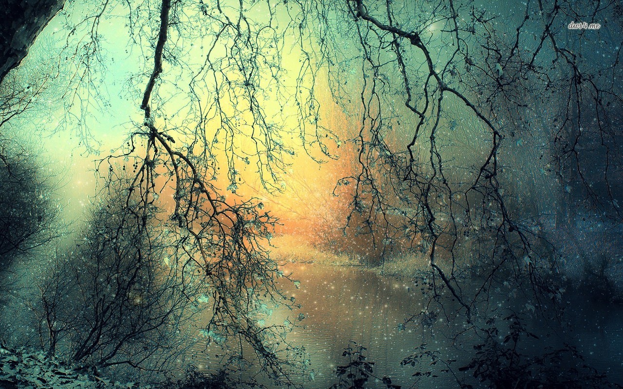 森の壁紙1280x800 自然 緑 自然の風景 空 青い Wallpaperuse