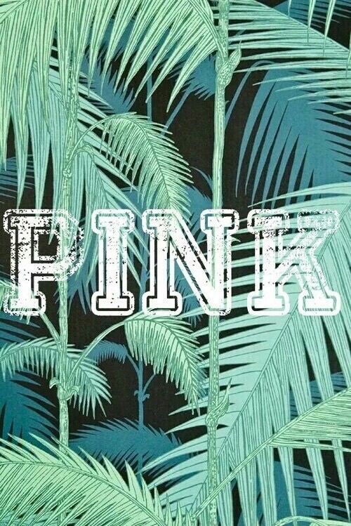 pink store wallpaper,tree,plant,palm tree,terrestrial plant,botany