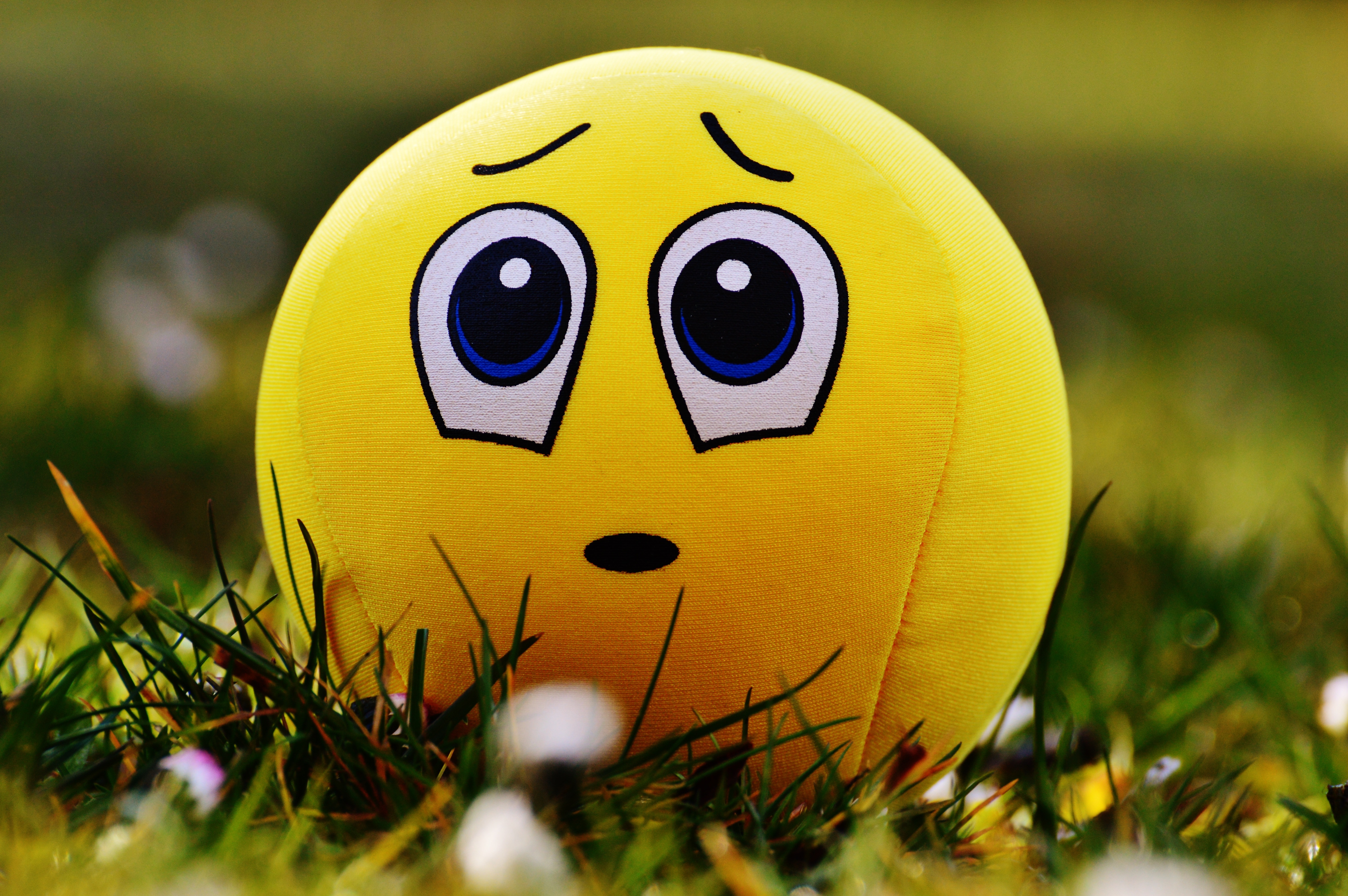 sad smiley wallpaper,facial expression,yellow,grass,emoticon,smile