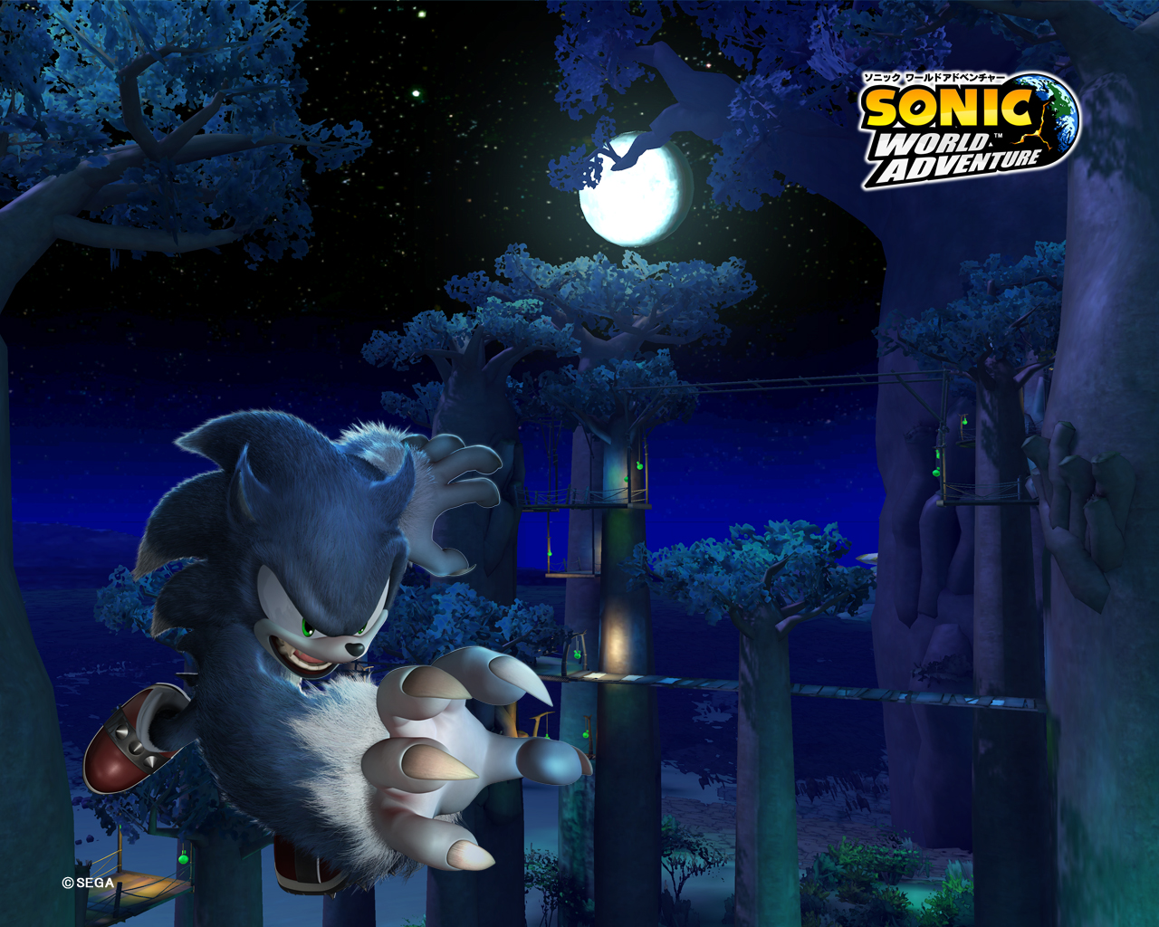 sonic unleashed wallpaper,action adventure game,adventure game,organism,games,screenshot