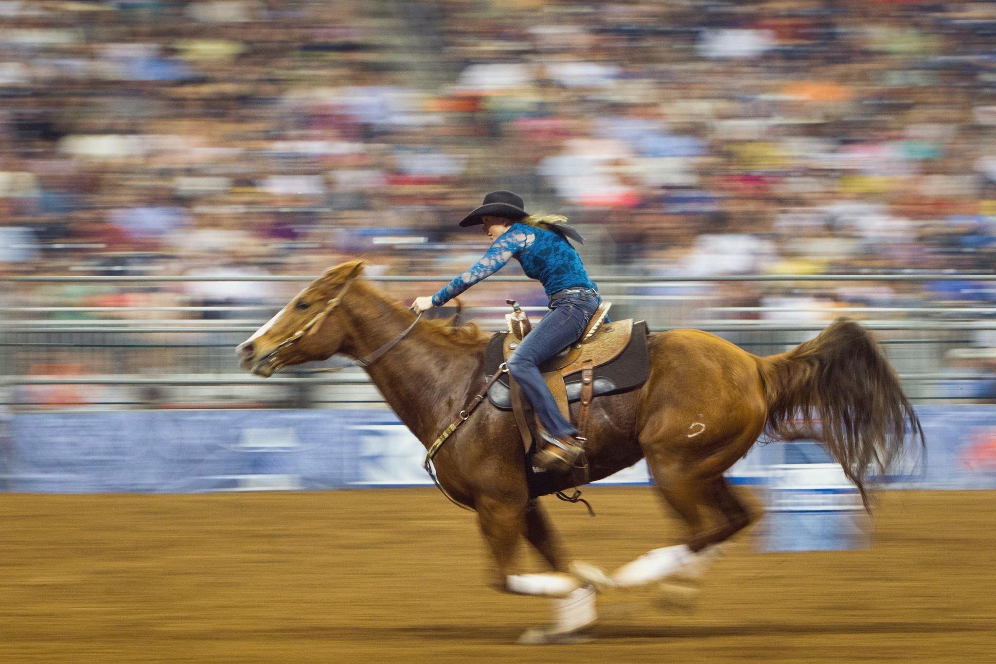 fondo de pantalla de rodeo,caballo,brida,deportes,rodeo