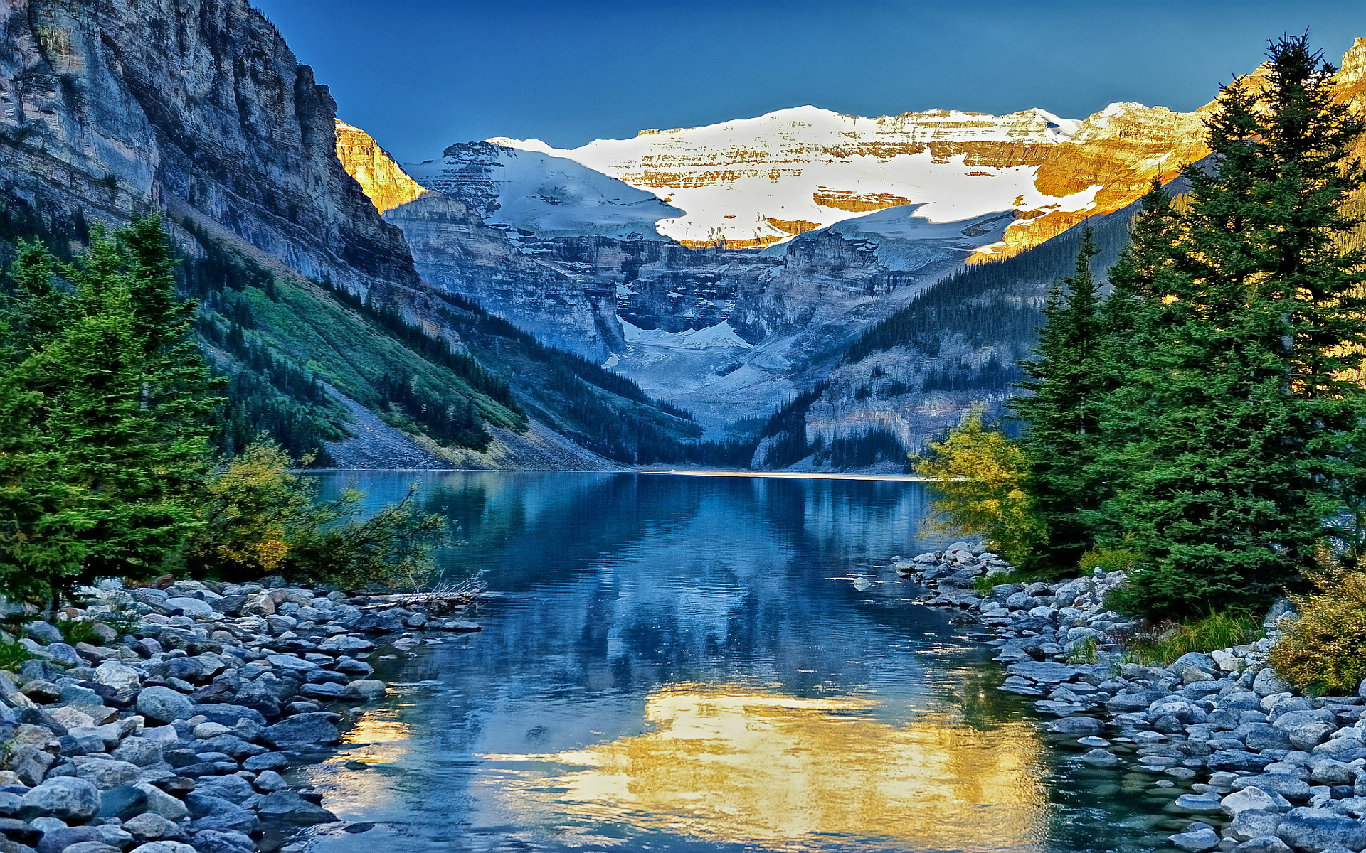 lago de pantalla en vivo,paisaje natural,naturaleza,montaña,reflexión,alerce larix lyalliisubalpine