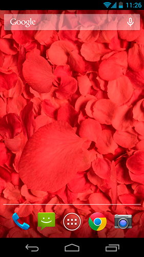 Red Petal Pink Live Wallpaper - free download