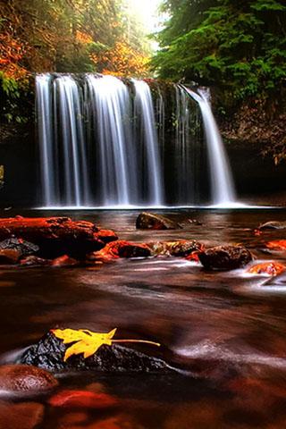 3d効果ライブ壁紙,滝,水域,自然の風景,水資源,自然