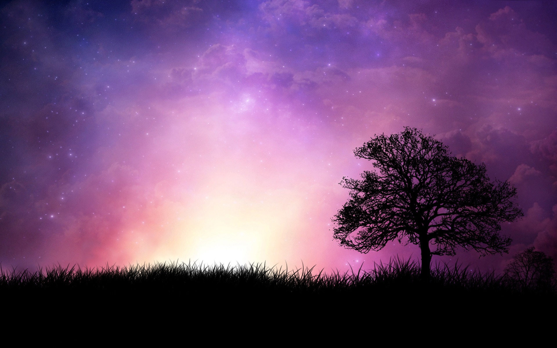 amour photo fond d'écran en direct,ciel,la nature,violet,atmosphère,arbre